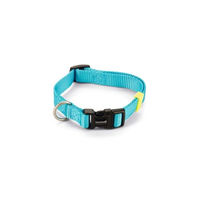 Produktbild von Beeztees Hundehalsband Uni aus Nylon in Blau Türkis 26-40 cm x 15 mm