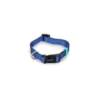 Produktbild von Beeztees Hundehalsband Uni aus Nylon in Blau, verstellbar von 35 bis 50 cm