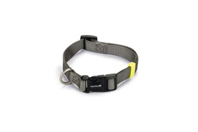 Produktbild von Beeztees Hundehalsband Uni aus Nylon in Dunkelgrau 35-50 x 2 cm