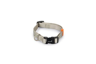 Produktbild von Beeztees Hundehalsband Uni aus Nylon in Hellgrau 26-40 x 1.5 cm