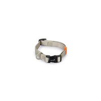 Produktbild von Beeztees Hundehalsband Uni aus Nylon in Hellgrau 26-40 x 1.5 cm