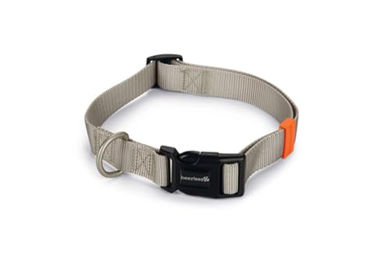 Produktbild von Beeztees Hundehalsband Uni aus Nylon in Hellgrau 48-70 x 2,5 cm
