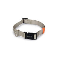 Produktbild von Beeztees Hundehalsband Uni aus Nylon in Hellgrau 48-70 x 2,5 cm