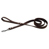 Produktbild von Beeztees Hundeleine aus Leder braun 165 cm x 20 mm