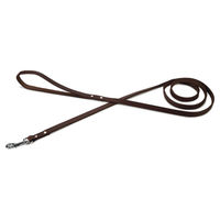 Produktbild von Beeztees Hundeleine aus Leder in Braun 165 x 12 mm - 165 cm