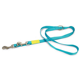 Produktbild von Beeztees Hundeleine aus Nylon in Hellblau Türkis 120 cm x 25 mm - 120 cm