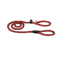 Produktbild von Beeztees Hundeleine aus Nylon in Rot 170 x 13 mm - 170 cm