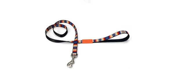 Beeztees Hundeleine Huvos bunt aus Nylon 120 cm x 20 mm - 120 cm – Bild 1 von 2