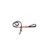 Produktbild von Beeztees Hundeleine Huvos bunt aus Nylon 120 cm x 20 mm - 120 cm