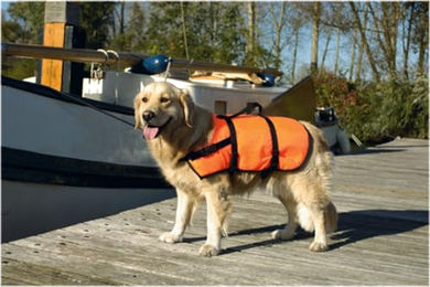 Beeztees Hundeschwimmweste Rettungsweste für große Rassen Orange Größe L 23-41 kg – Bild 1 von 1