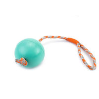 Produktbild von Beeztees Hundespielzeug Ball mit Kordel aus Gummi in Mint