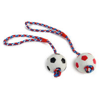 Produktbild von Beeztees Hundespielzeug Schleuderball am Seil aus Gummi bunt