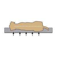 Produktbild von Beeztees Ito Orthopädisches Hundekissen aus Memory Foam in Grau 62x44x4 cm