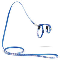 Produktbild von Beeztees Kätzchengeschirr Hearts Blau mit Leine verstellbar