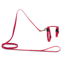 Produktbild von Beeztees Katzengeschirr Uni aus Nylon in Rosa mit Leine, verstellbar 27-45 cm
