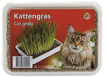Beeztees Katzengras zur Unterstützung der Verdauung und gegen Haarballen 130 g - 130 g – Bild 1 von 2