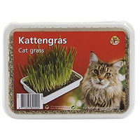 Produktbild von Beeztees Katzengras zur Unterstützung der Verdauung und gegen Haarballen 130 g - 130 g