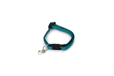 Beeztees Katzenhalsband für Kitten aus Nylon grün 15-22 cm mit Sicherheitsverschluss – Bild 1 von 2