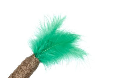 Beeztees Katzenspielzeug Dschungel Palme aus Jute mit Katzenminze in Braun und Grün – Bild 1 von 4
