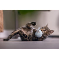 Produktbild von Beeztees Katzenspielzeug Rizo Plüschball mit Feder für Kitten 5cm Mint - 5 cm