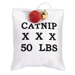 Beeztees Katzenspielzeug Stoffsack mit Katzenminze aus Leinen Weiß 10x7,5 cm - 10 cm – Bild 1 von 4