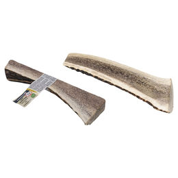 Beeztees Kausnack Hirschgeweih Easy Größe M für Hunde ohne Zucker und Aromastoffe - 65 g – Bild 1 von 6