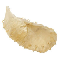 Produktbild von Beeztees Kausnack Kauartikel 10 Stück 12 cm