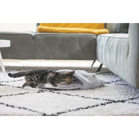Produktbild von Beeztees Kitten Spielsack Hakuna Katzen-Tunnel aus Polyester grau