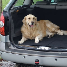 Beeztees Kofferraum Schutzdecke Break für Hunde aus Oxford-Gewebe Schwarz 145x120 cm – Bild 1 von 2