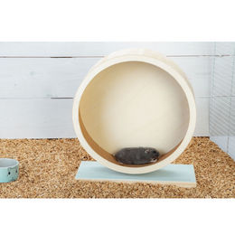 Beeztees Laufrad Turbani Holz für Nager in Mint und Natur 29 x 12,5 x 32 cm – Bild 1 von 4