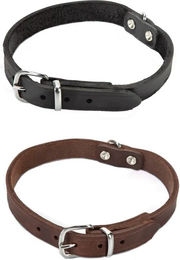 Beeztees Lederhalsband für Hunde in Braun - 1 Stk. – Bild 1 von 6
