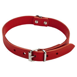 Beeztees Lederhalsband für Hunde in Rot mit Verstellmöglichkeit 37 - 47 cm – Bild 1 von 2