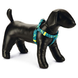 Beeztees Memphis Hundegeschirr aus Nylon in Hellblau, verstellbar 26-40 cm – Bild 1 von 2