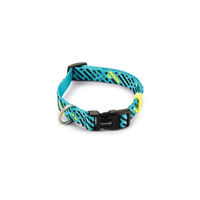 Produktbild von Beeztees Memphis Hundehalsband aus Nylon in Blau Türkis 26-40 cm x 15 mm