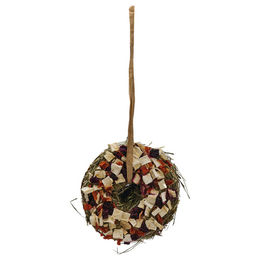 Beeztees Nagersnack Heudonut mit Rote Bete, Karotte und Pastinake für Kaninchen 65 g - 65 g – Bild 1 von 5