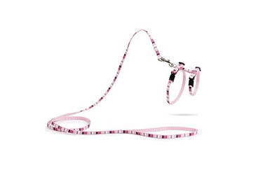 Produktbild von Beeztees Nylon Kittenset Joy Rosa