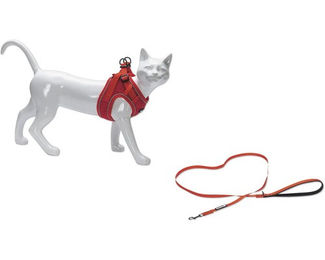 Beeztees Parinca Katzengeschirr mit Leine Rot M/L aus Nylon mit Halsumfang 26-31 cm – Bild 1 von 8