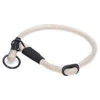 Produktbild von Beeztees Parinca Premium Hundehalsband aus Nylon in Grau 55 cm - 55 cm