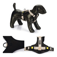 Produktbild von Beeztees Parinca Premium Y-Geschirr für Hunde aus Nylon Grau 73-94 cm x 30 mm