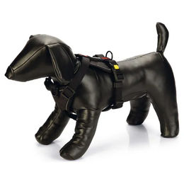 Beeztees Parinca Premium Y-Geschirr für Hunde aus Nylon in Schwarz – Bild 1 von 7
