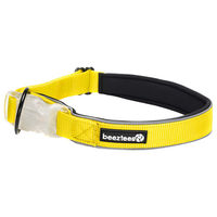 Produktbild von Beeztees Parinca Safety Gear LED Hundehalsband aus Nylon in Gelb mit wiederaufladbarem Akku und wasserabweisender Funktion