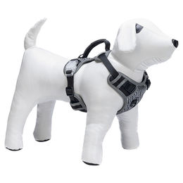 Beeztees Parinca Safety Gear Y-Geschirr für Hunde aus Nylon in Schwarz mit LED und wasserabweisender Eigenschaft – Bild 1 von 4
