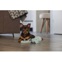 Produktbild von Beeztees Plüschspielzeug Flatino Drache Yi für Welpen in Grün und Grau