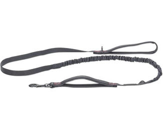 Beeztees Premium Elastic Hundeleine aus Nylon in Schwarz 180 x 2 cm – Bild 1 von 7