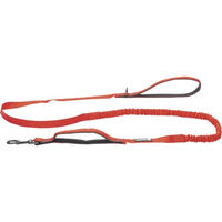 Produktbild von Beeztees Premium Elastische Hundeleine aus Nylon in Rot 180 x 2 cm
