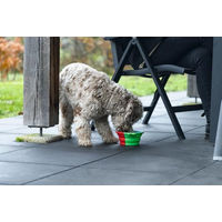 Produktbild von Beeztees Reisenapf aus Silikon für Hunde Grün 750ml - 0,75 l