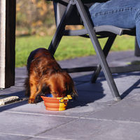 Produktbild von Beeztees Reisenapf aus Silikon für Hunde rot 750ml - 750 ml