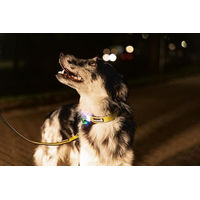 Produktbild von Beeztees Safety Gear Parinca Premium LED Hundehalsband aus Nylon gelb 35-40 x 2 cm