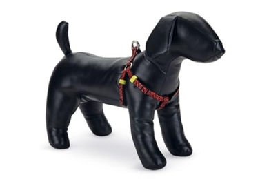 Beeztees Scribbles Hundegeschirr aus Nylon Schwarz 35-60 cm – Bild 1 von 1