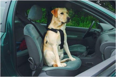 Produktbild von Beeztees Sicherheitsgeschirr für Hunde Auto Nylon Medium